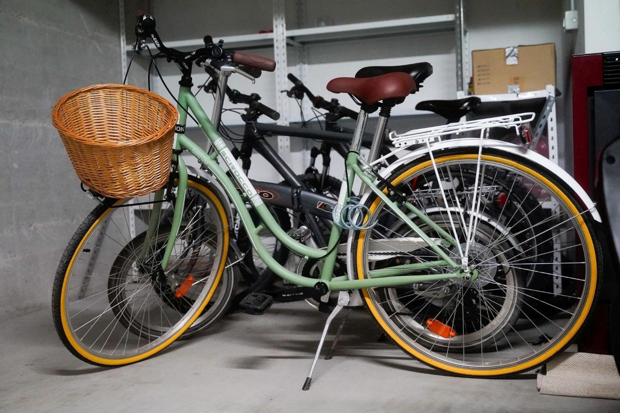 Dandelion Apartment Rovinj-Free Bikes エクステリア 写真