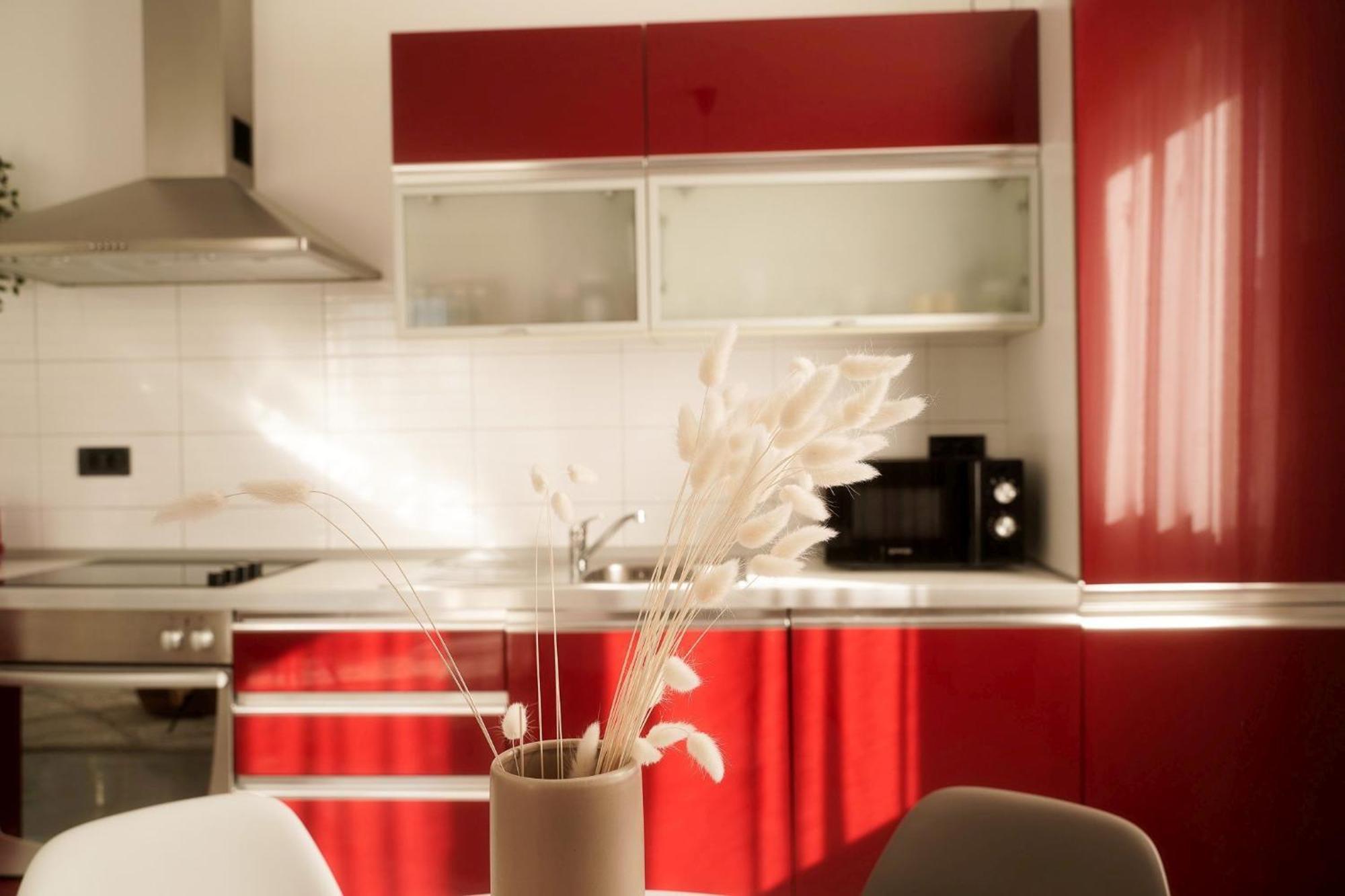 Dandelion Apartment Rovinj-Free Bikes エクステリア 写真