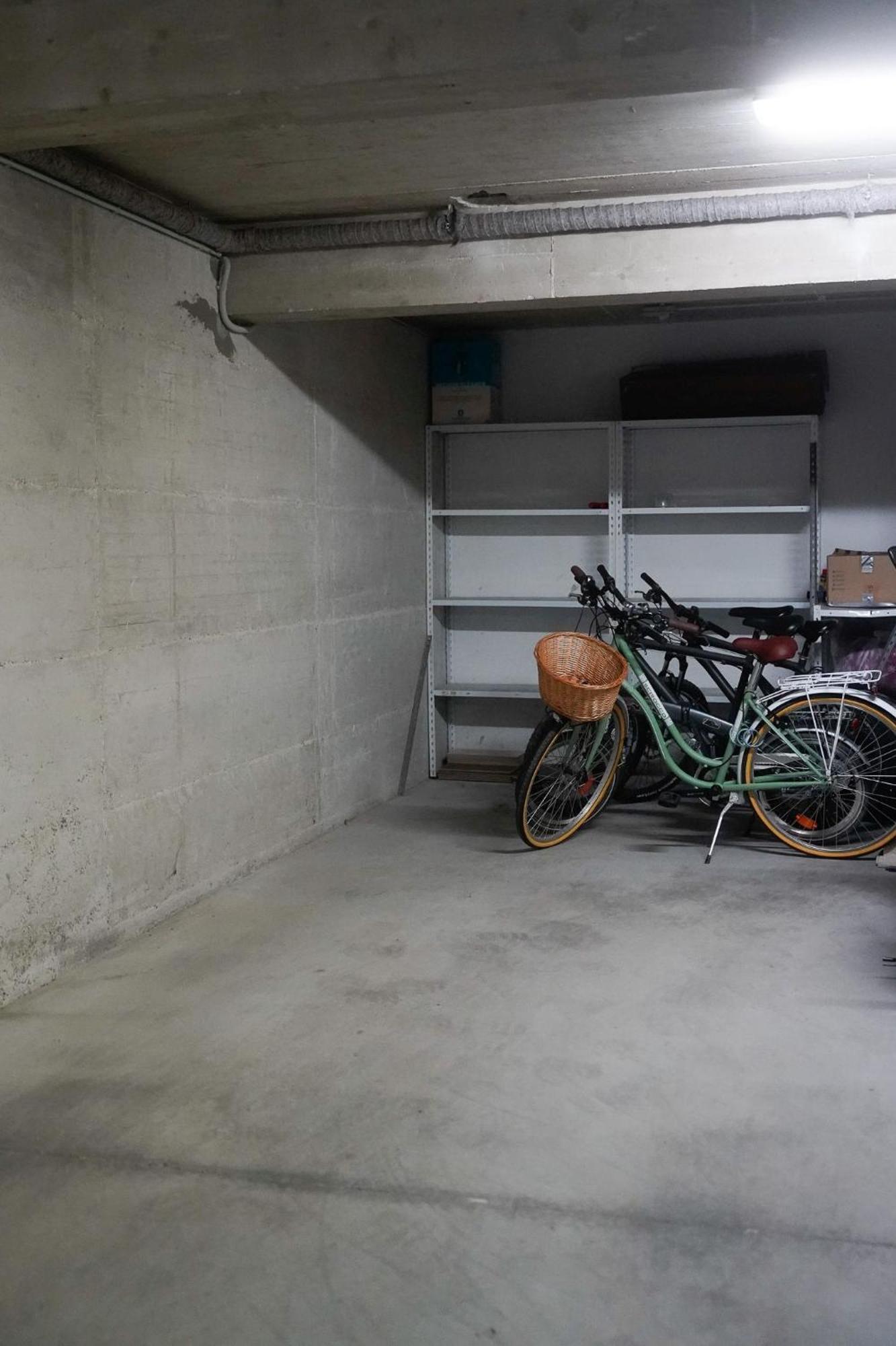 Dandelion Apartment Rovinj-Free Bikes エクステリア 写真